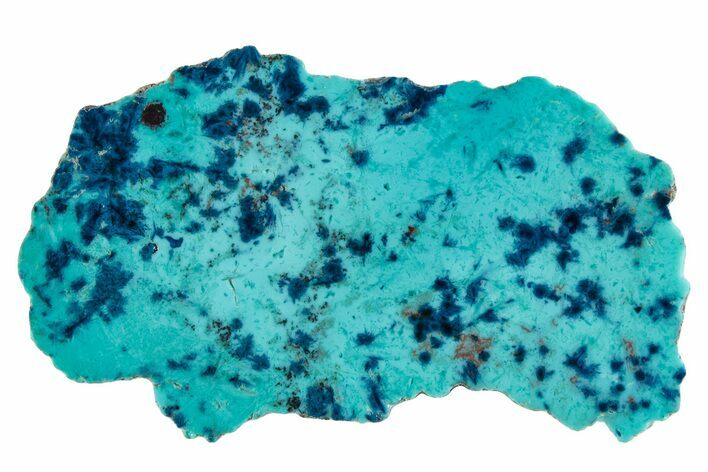 Vibrant Chrysocolla and Shattuckite Slab - Mexico #281779